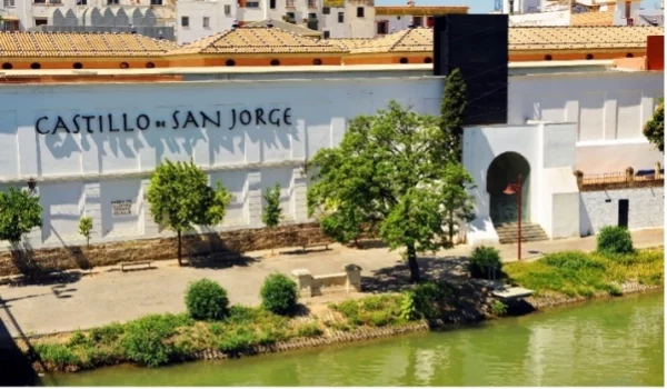 Route through Triana: everything you can do in this neighborhood of Seville in one day - Tree Triana